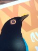 ''Blackbird MMXXI'' limited edition screenprint by Richard Pendry
