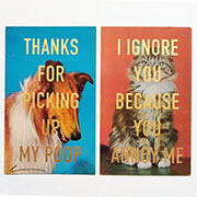 Bollocks & Pyjamas exhibition