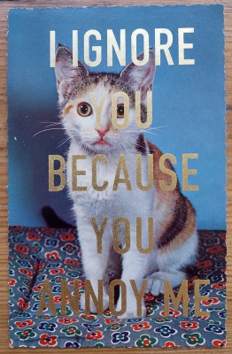 ''I ignore you... 10'' vintage postcard with gold leaf by Dave Buonaguidi