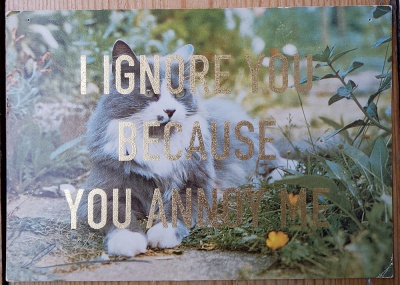 ''I ignore you... 12'' vintage postcard with gold leaf by Dave Buonaguidi