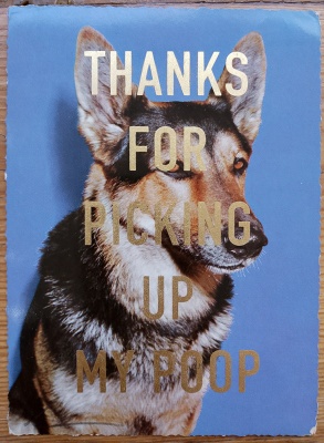 ''Thanks...'' vintage dog postcard with gold leaf by Dave Buonaguidi