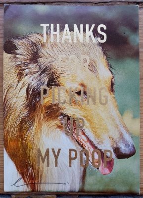 ''Thanks...3'' vintage dog postcard with gold leaf by Dave Buonaguidi