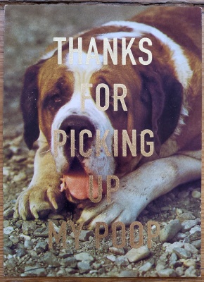 ''Thanks...4'' vintage dog postcard with gold leaf by Dave Buonaguidi