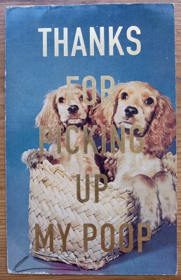 ''Thanks...10'' vintage dog postcard with gold leaf by Dave Buonaguidi