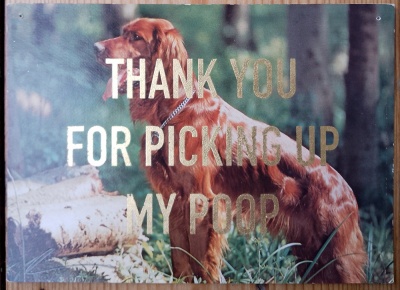 ''Thanks...11'' vintage dog postcard with gold leaf by Dave Buonaguidi