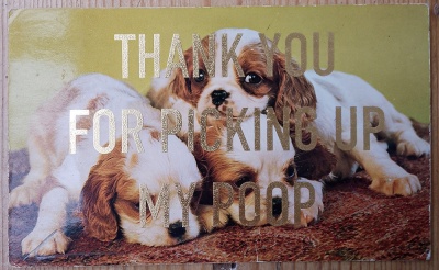 ''Thanks...12'' vintage dog postcard with gold leaf by Dave Buonaguidi
