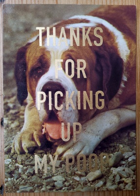 ''Thanks...14'' vintage dog postcard with gold leaf by Dave Buonaguidi