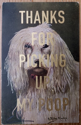 ''Thanks...15'' vintage dog postcard with gold leaf by Dave Buonaguidi