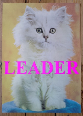''Leader'' limited edition silkscreen print by Sadie Hennessey