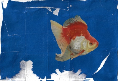''Red Herring'' giclee print by Sian Pattenden and KEELERTORNERO