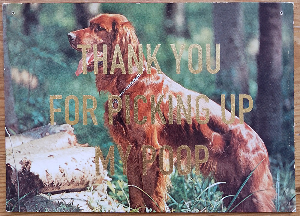 ''Thanks...6'' vintage dog postcard with gold leaf by Dave Buonaguidi
