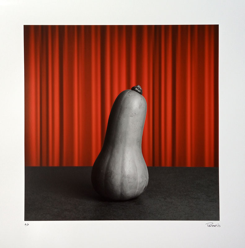 ''Gourd'' limited edition giclée print by Mark Perronet